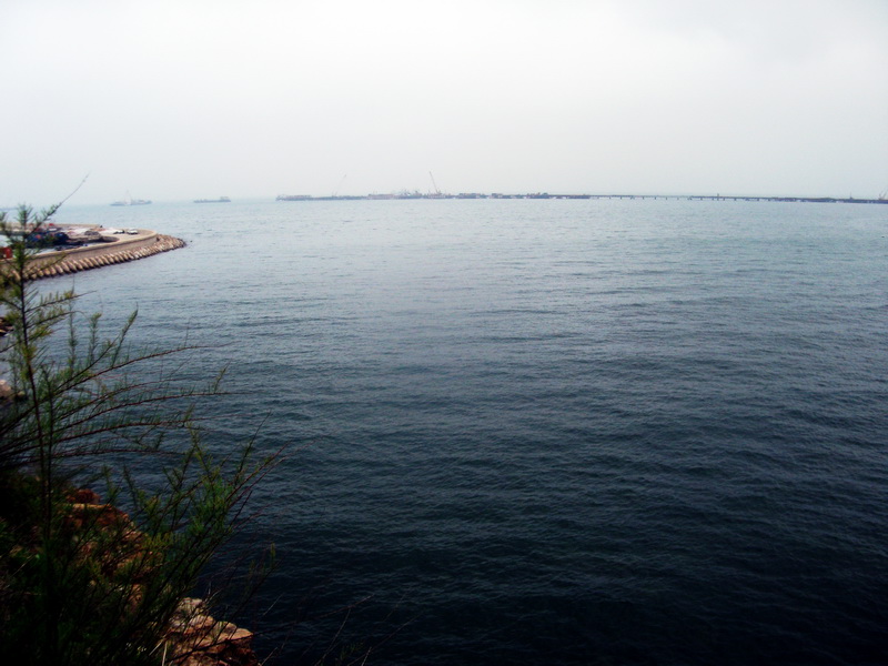 dscf0340.jpg
