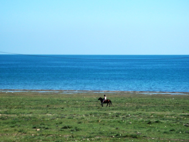 dscf0188.jpg