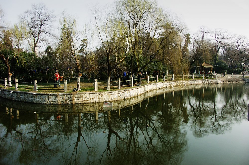pict9049.jpg