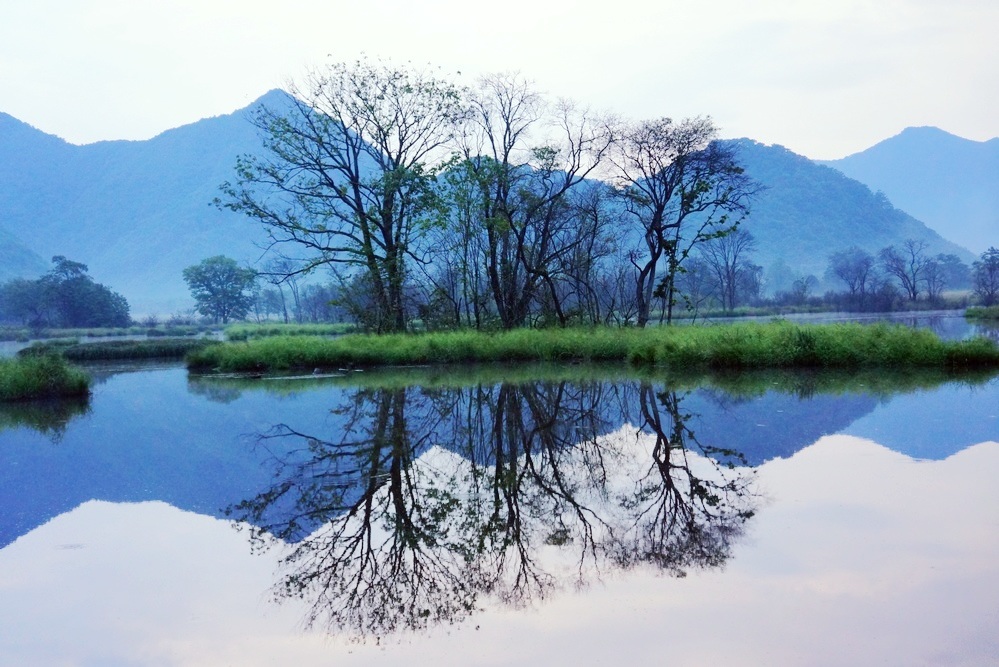 2012七夕，相约神龙架1376.jpg