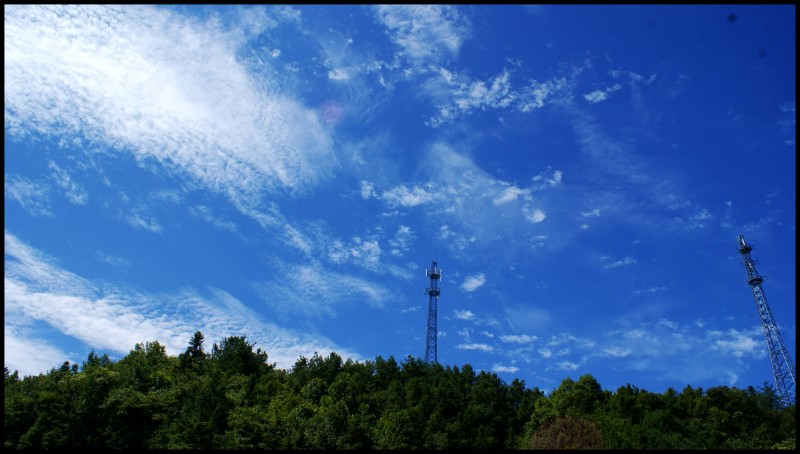 conew_dsc00335_conew1.jpg