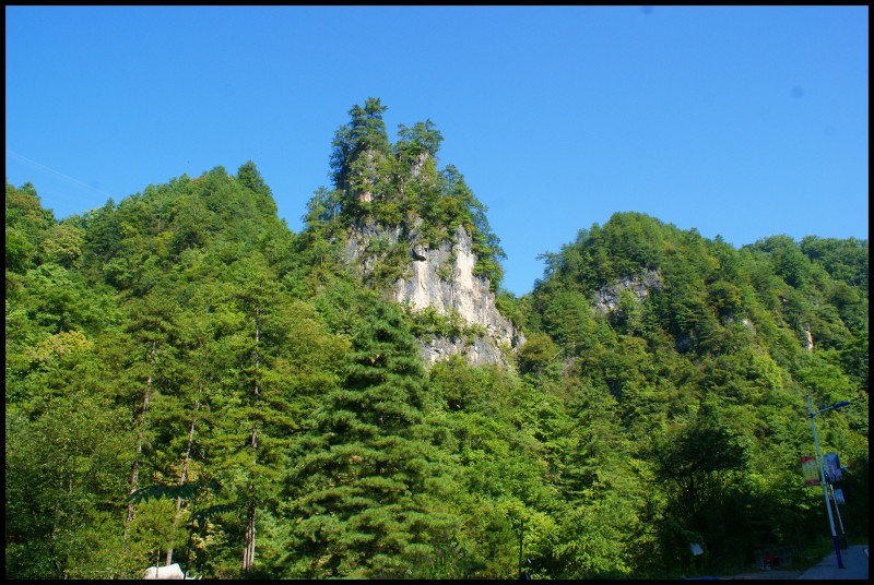 conew_dsc00544_conew1.jpg