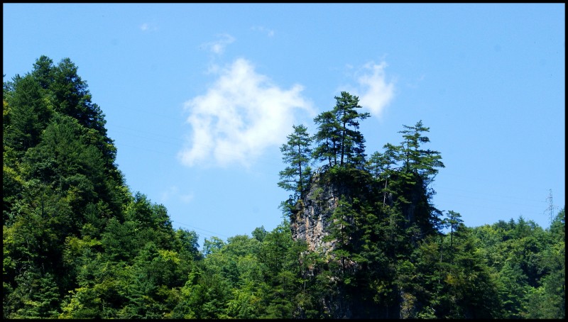 conew_dsc00763_conew1.jpg