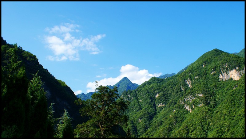 conew_dsc00868_conew1.jpg