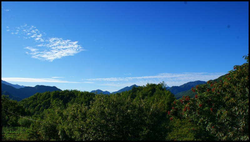 conew_dsc00977_conew1.jpg