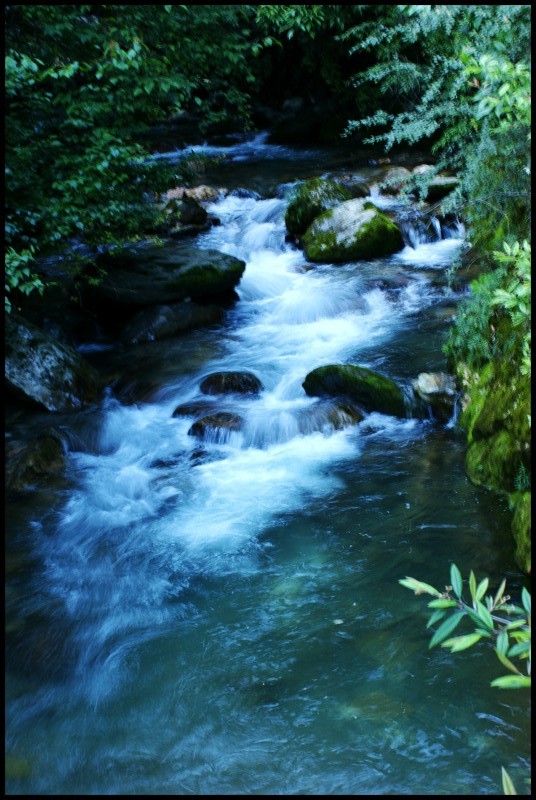 conew_dsc00526_conew1.jpg