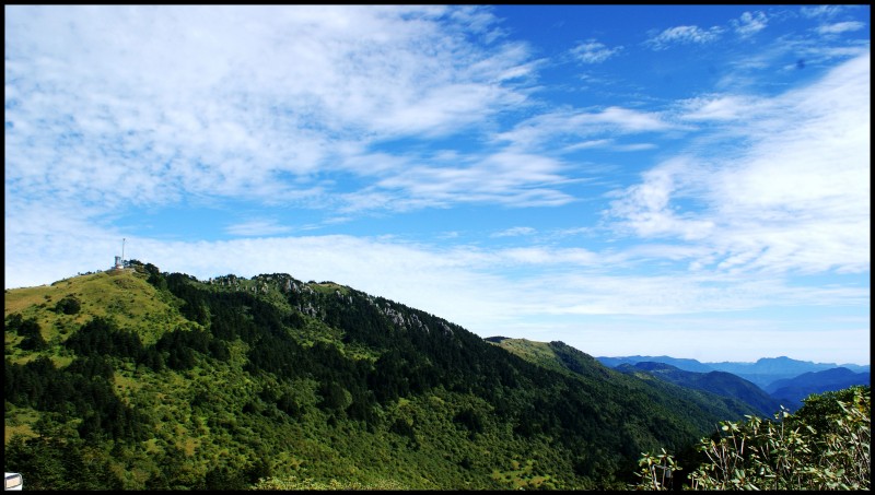 conew_dsc01080_conew2.jpg
