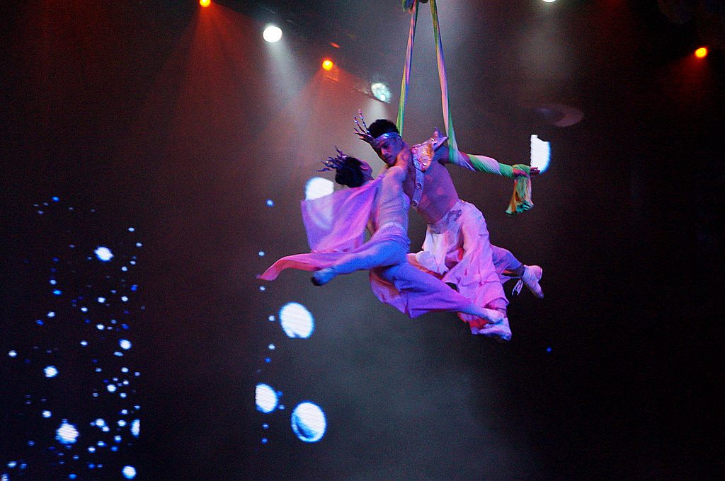 dsc01850.jpg