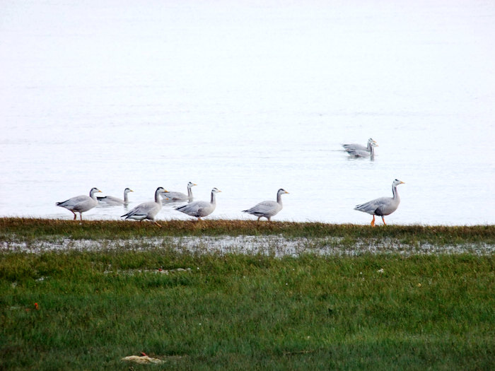 DSCF3942.JPG