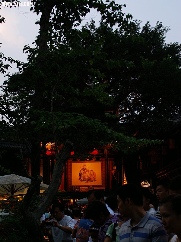IMGP3975.jpg