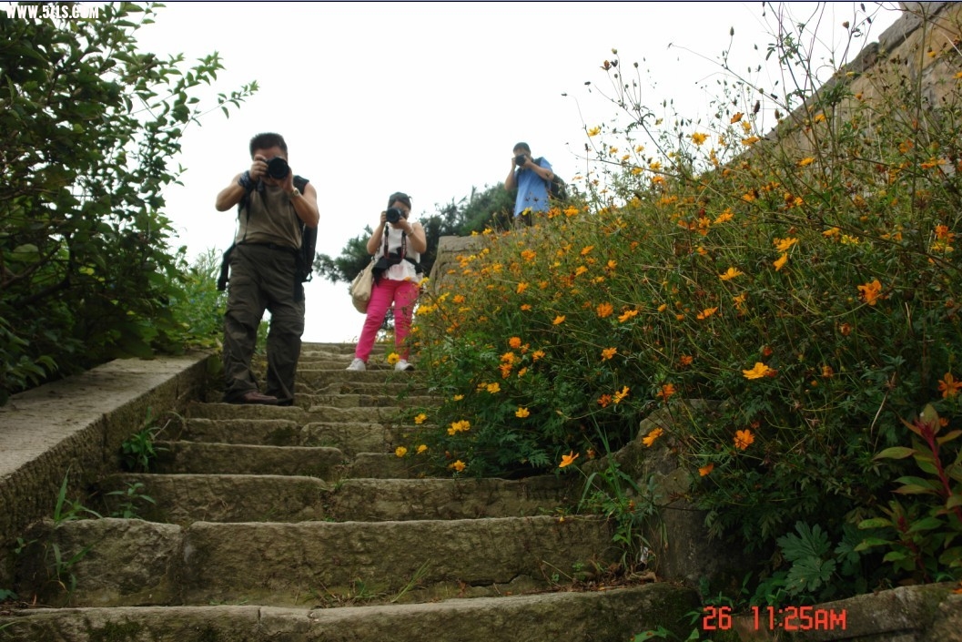 789.jpg