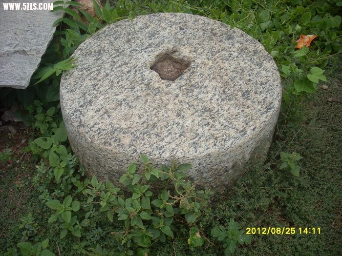 009.JPG