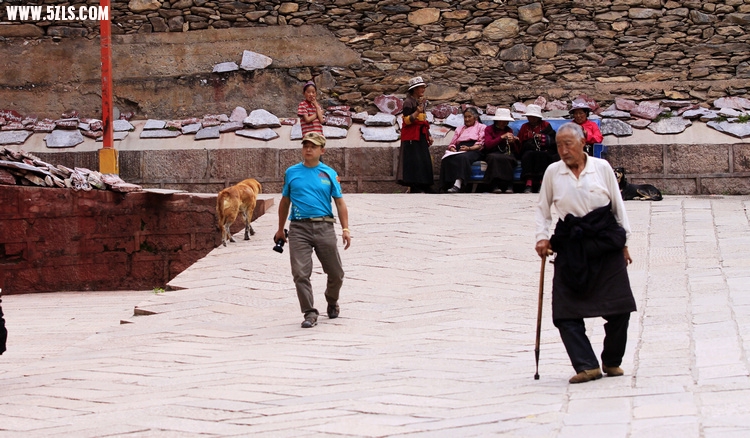 _MG_6409.JPG-1.JPG