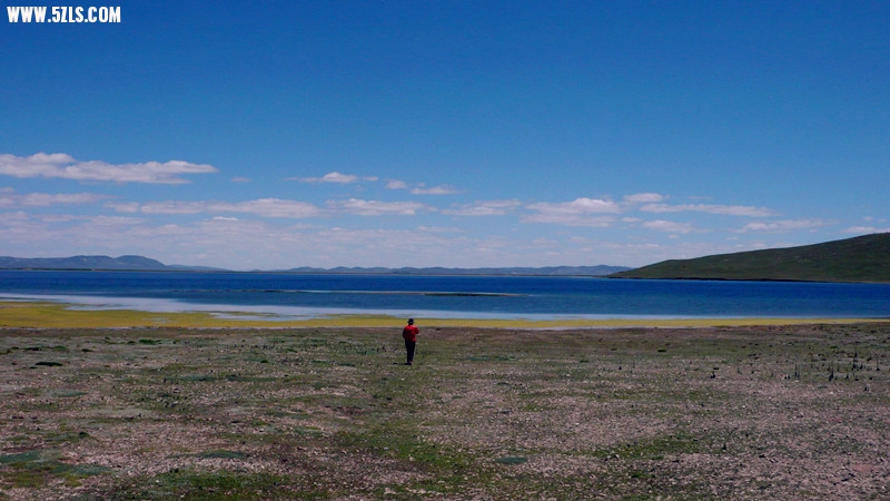 P1140847_1.jpg