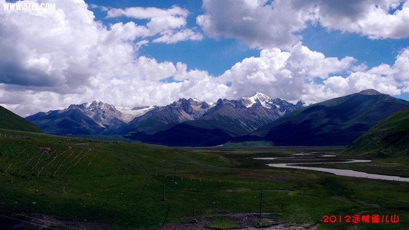 P1150045_.jpg