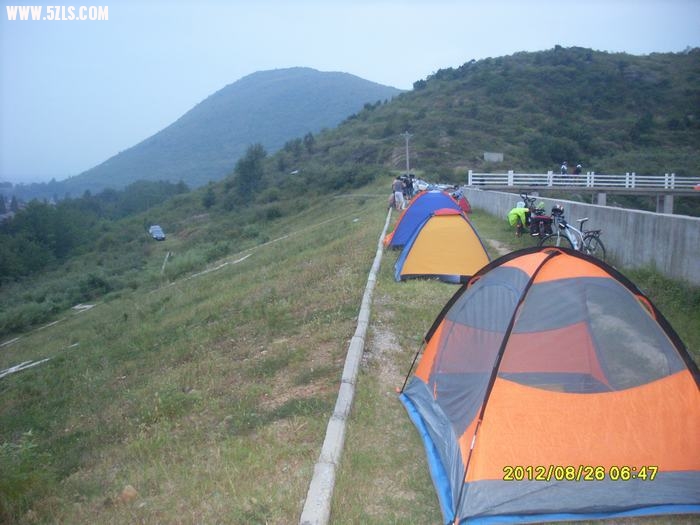 SL388906.JPG