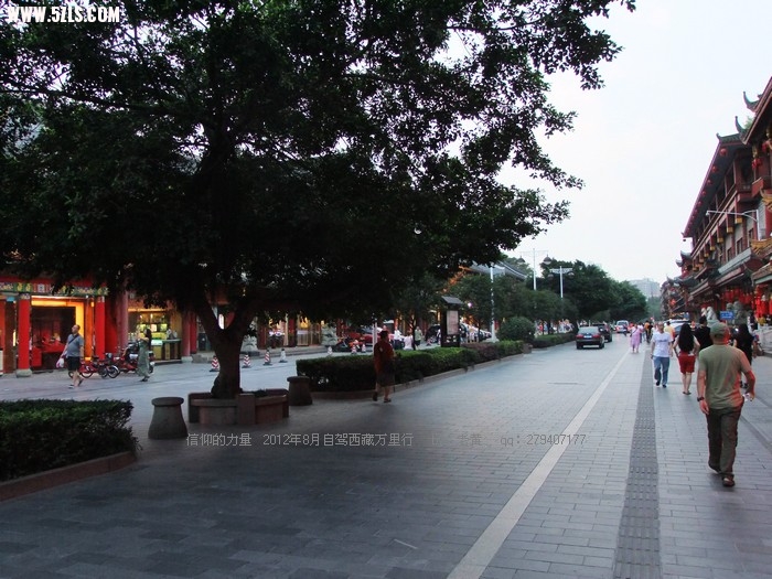 DSCF8181.jpg