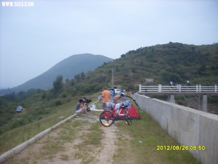 SL388910.JPG
