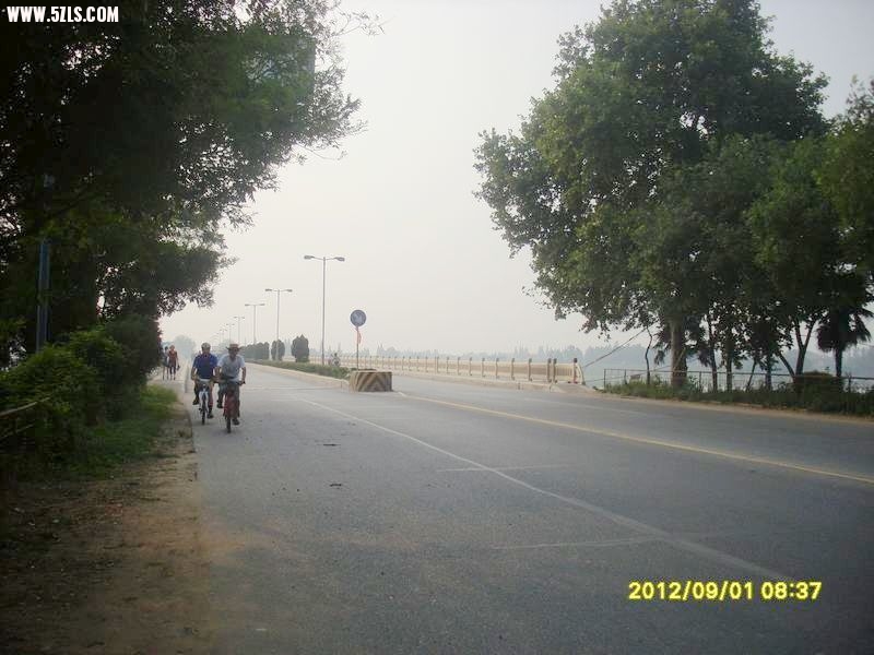 SL388951.JPG