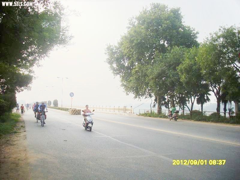 SL388953.JPG