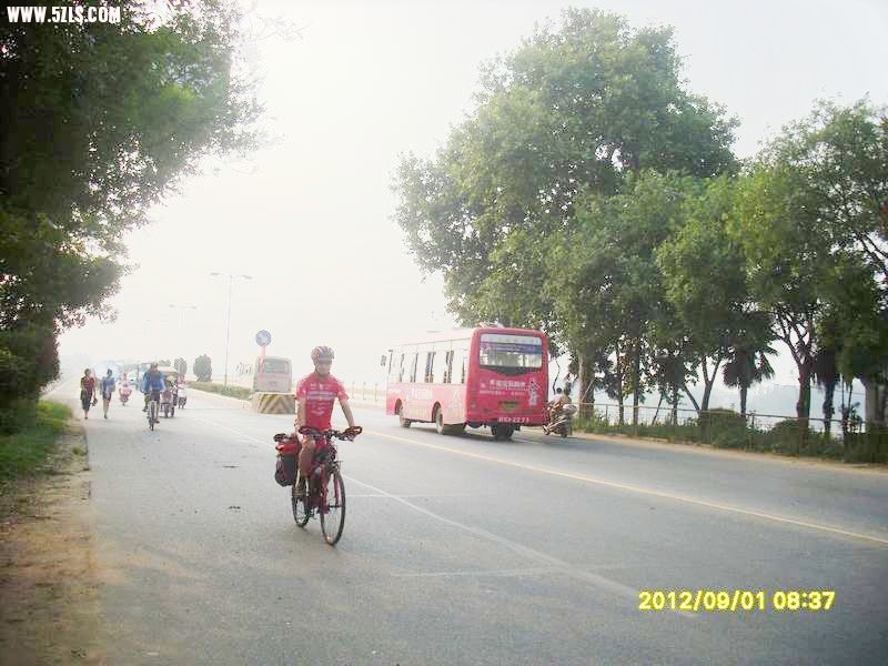 SL388955.JPG