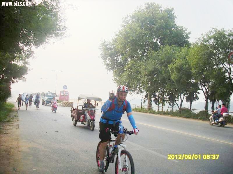 SL388956.JPG