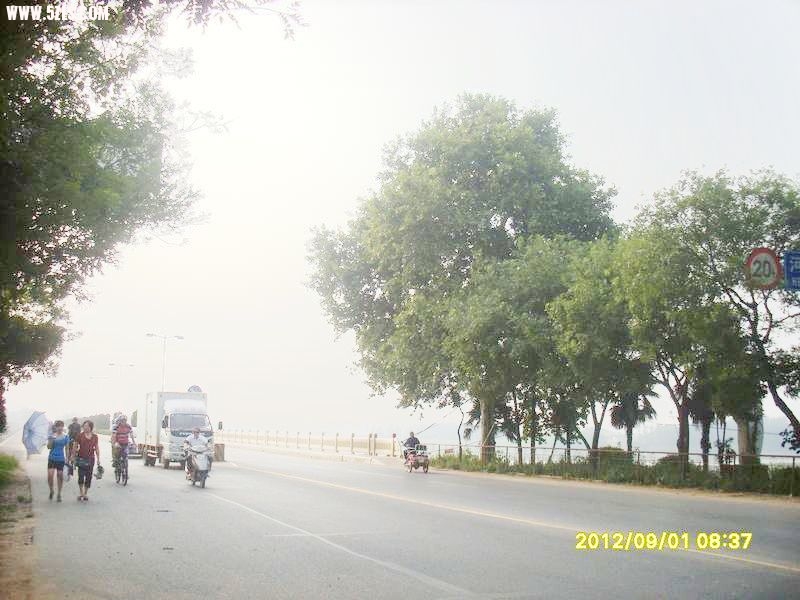 SL388958.JPG