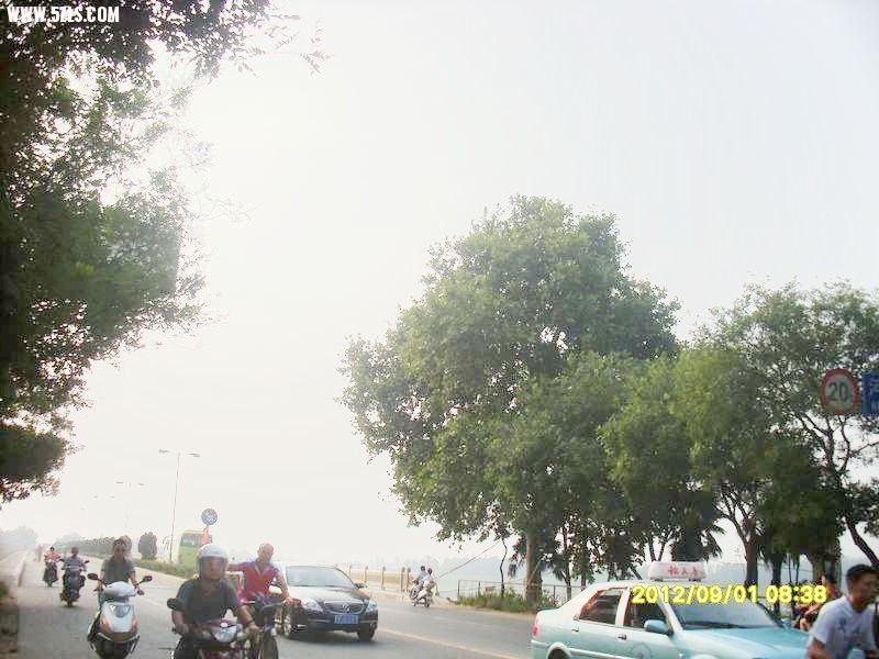 SL388962.JPG