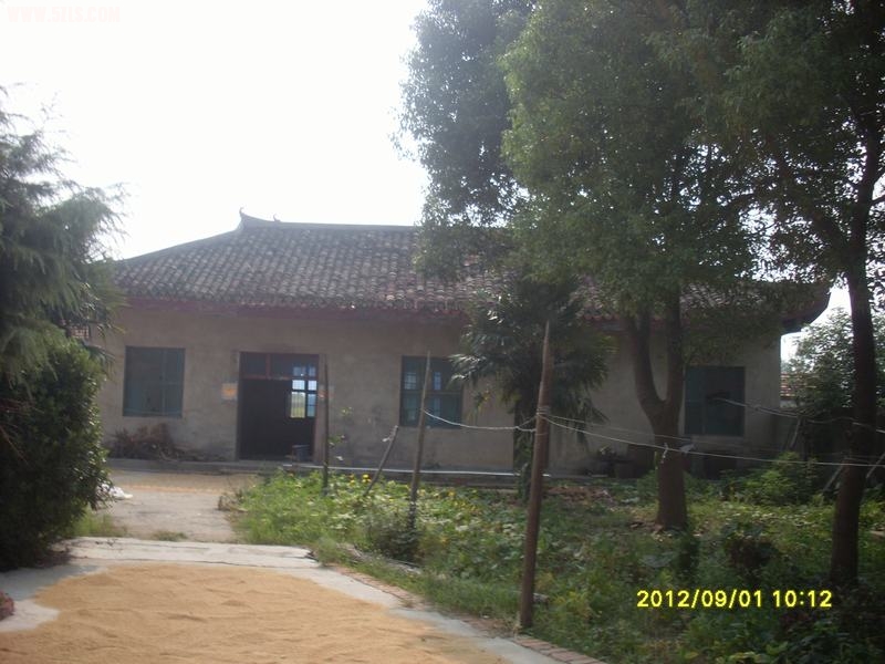 SL388965.JPG