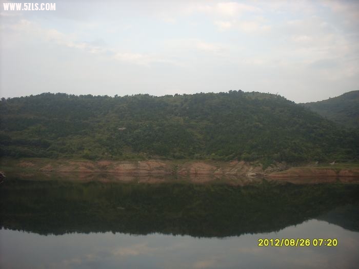 SL388921.JPG