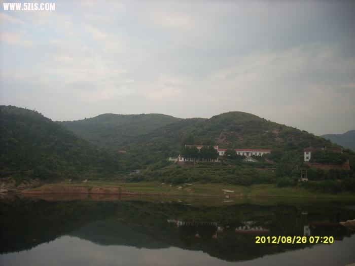 SL388922.JPG