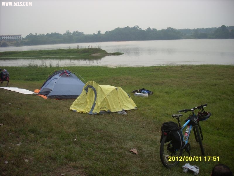 SL388984.JPG