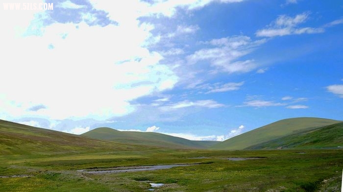 nEO_IMG_DSC02614.jpg