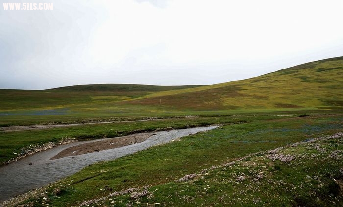 nEO_IMG_DSC02628.jpg