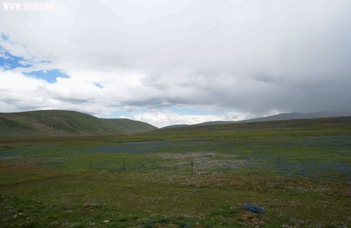 nEO_IMG_DSC02705.jpg