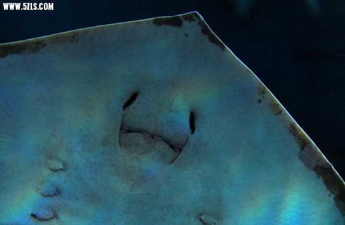  1260.jpg