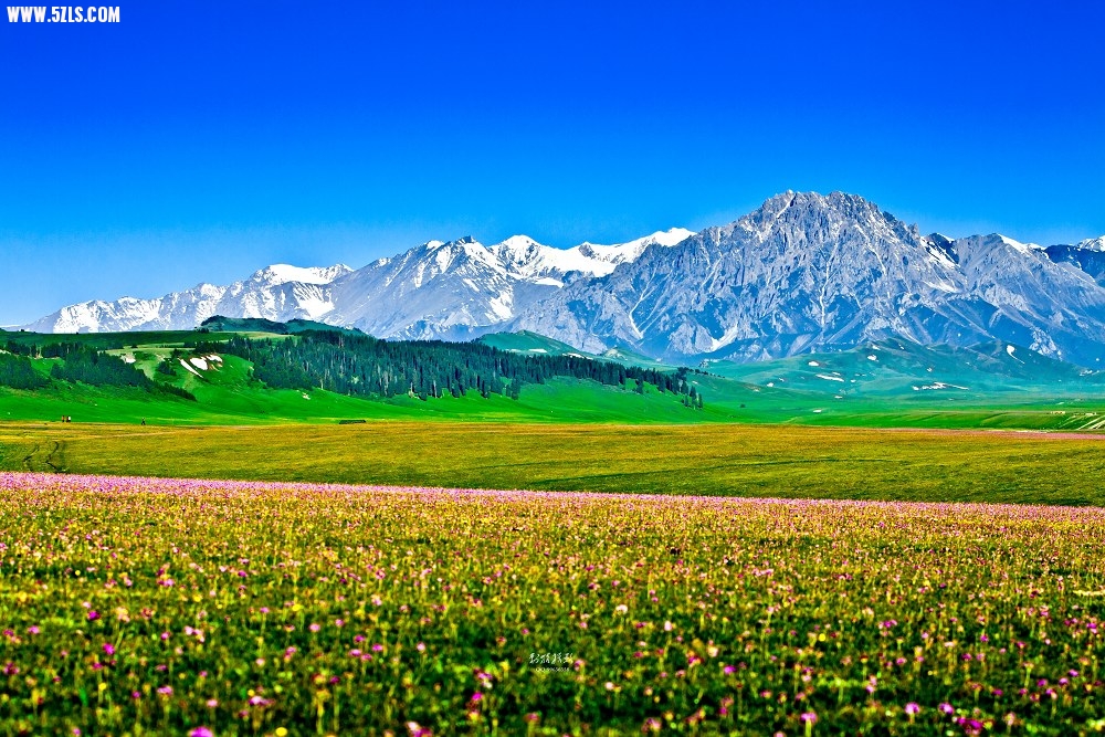 20120527-IMG_8378-༭.jpg