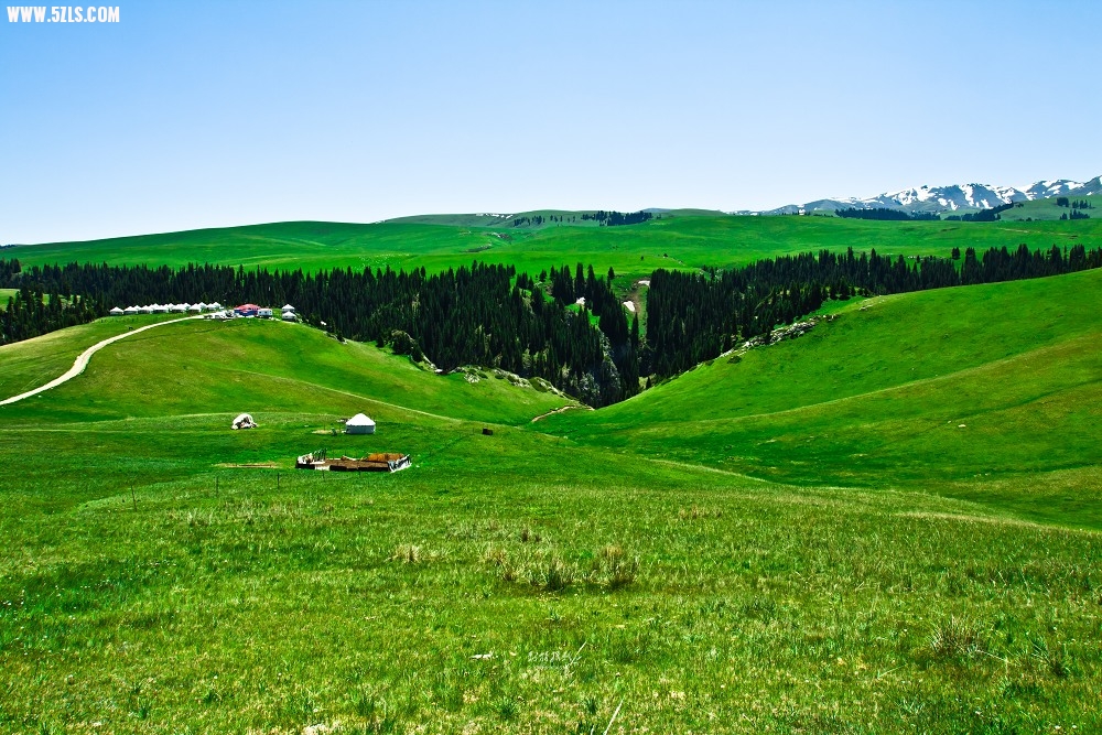 20120528-IMG_8536-༭.jpg