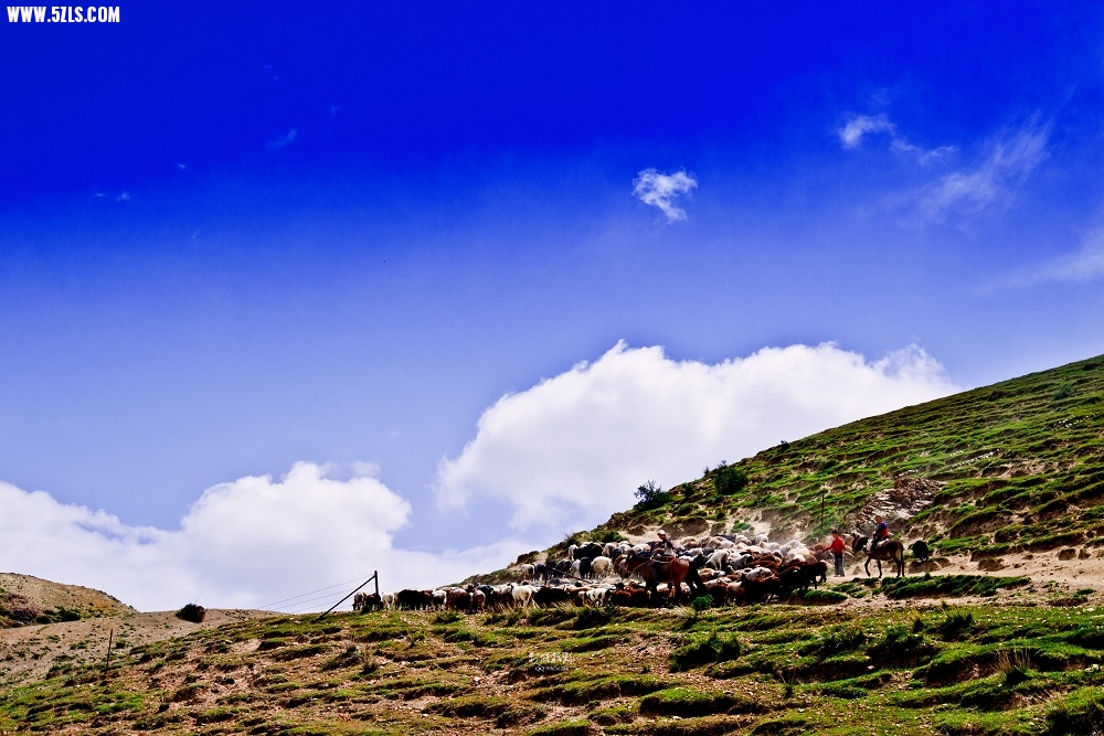 20120530-IMG_8987-༭.jpg