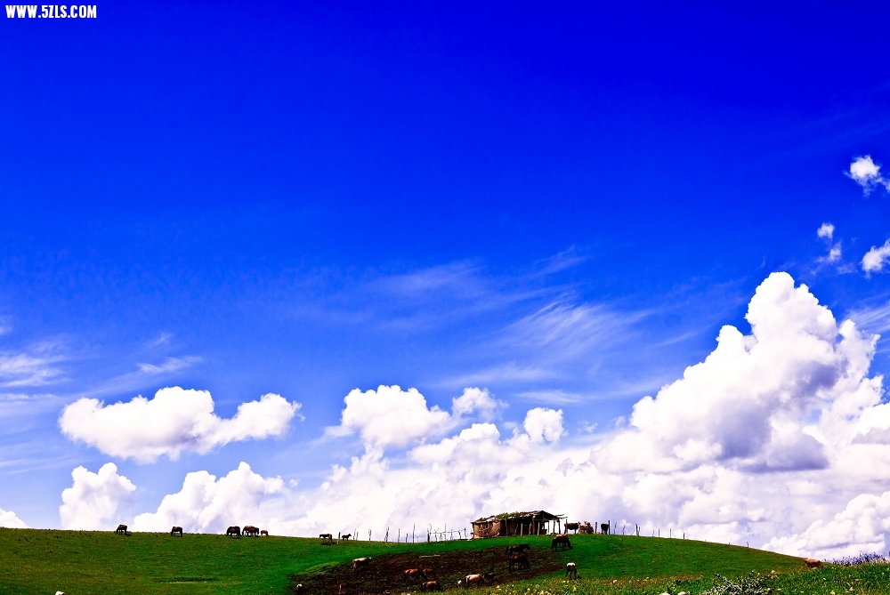20120531-IMG_9405-༭.jpg