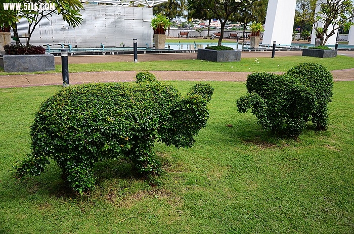 DSC_0061.jpg
