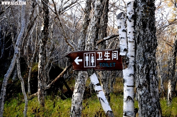 内蒙东北-2003.jpg