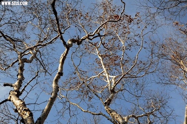内蒙东北-2004.jpg