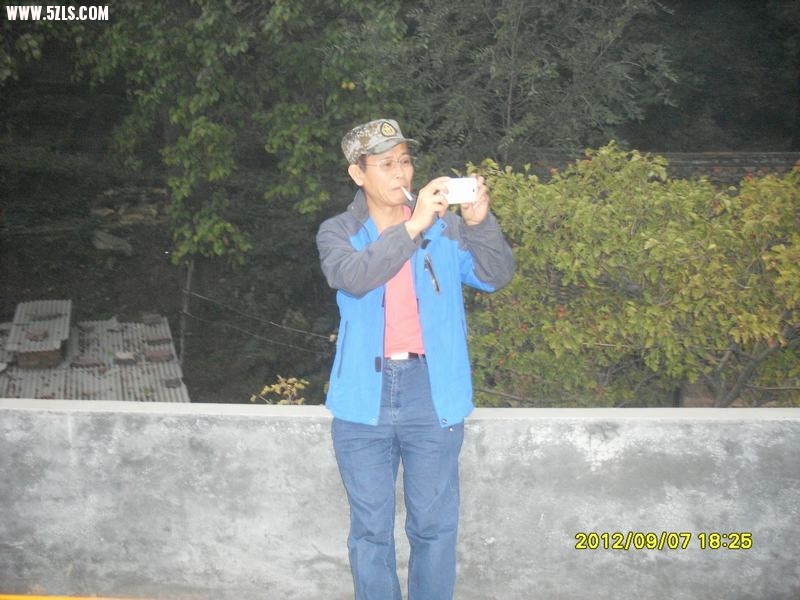 SL389181.JPG