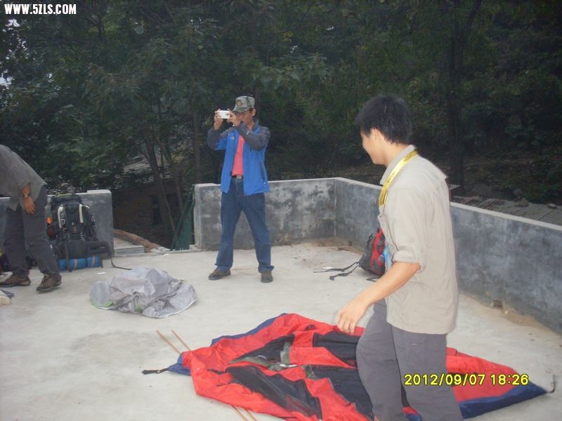 SL389185.JPG