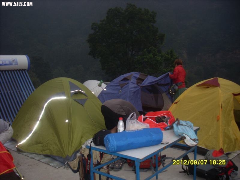 SL389182.JPG