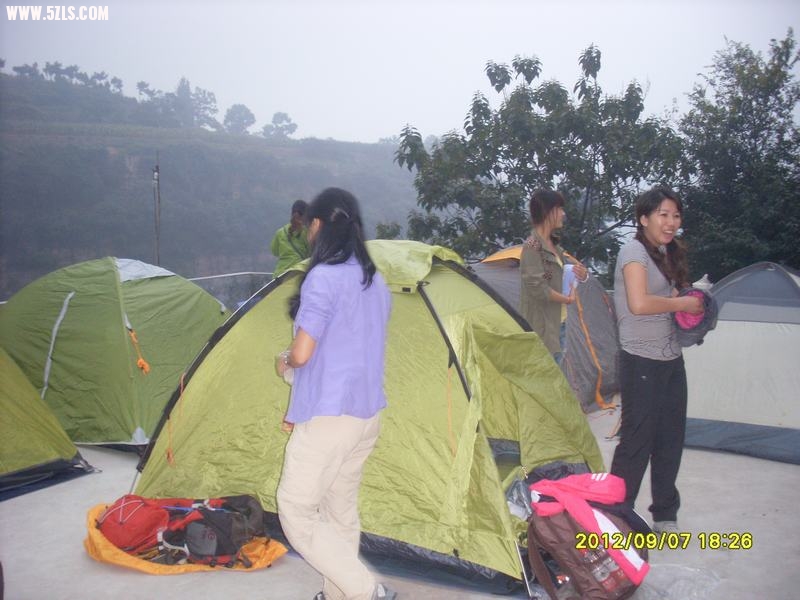 SL389184.JPG