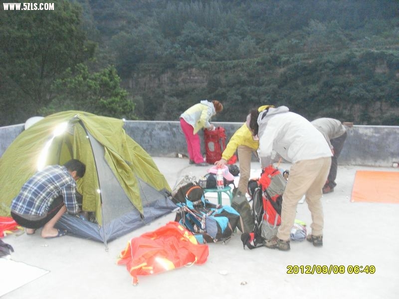 SL389229.JPG