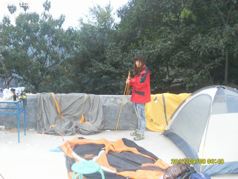 SL389230.JPG