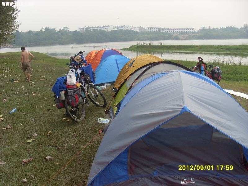 SL389015.JPG